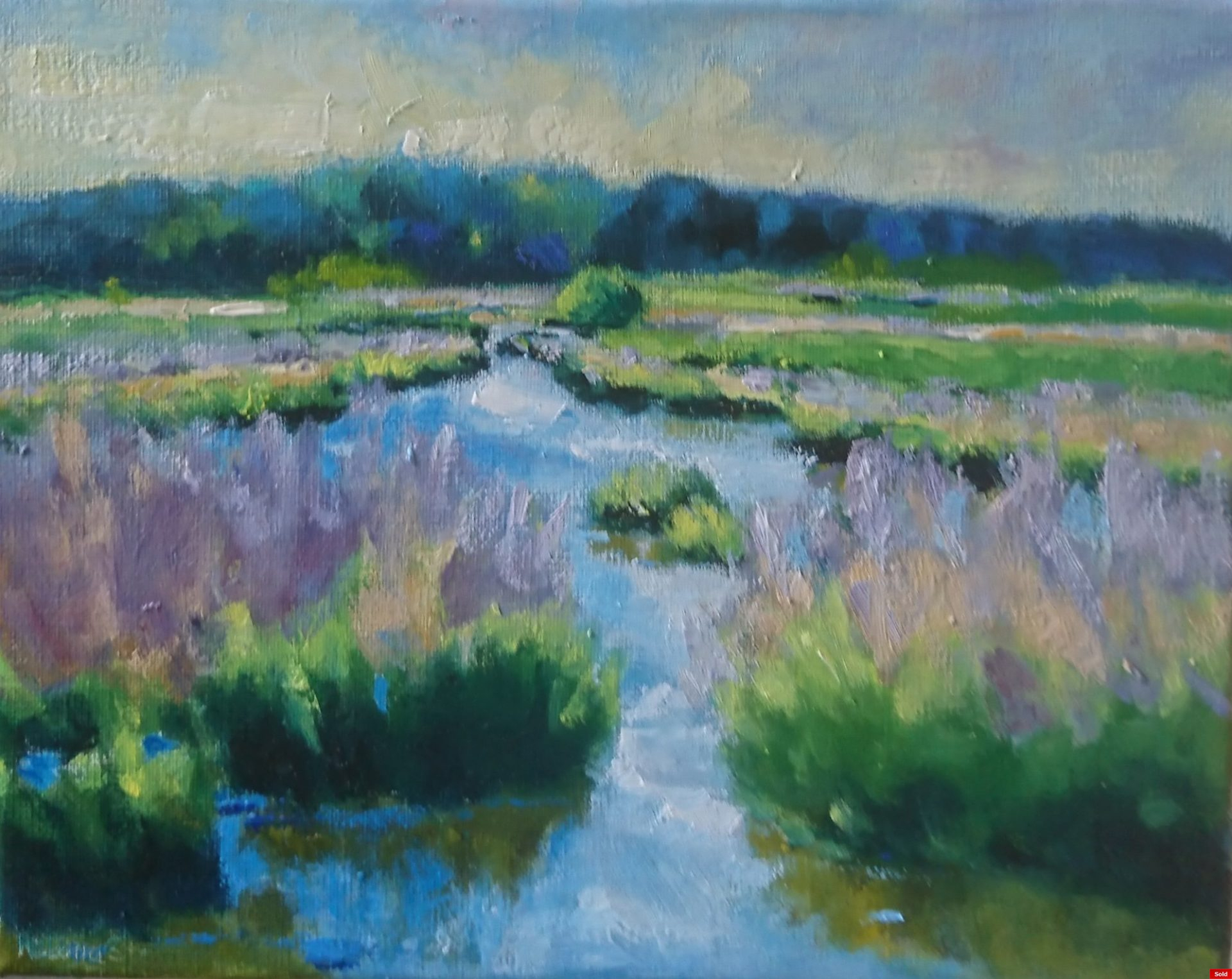 Buttinge Domburgse watergang