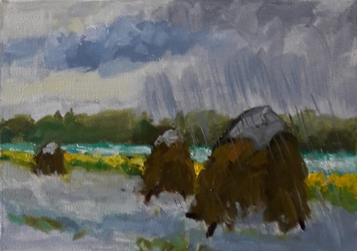 Hooibergjes in de regen Zoutelande