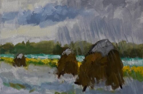 Hooibergjes in de regen Zoutelande