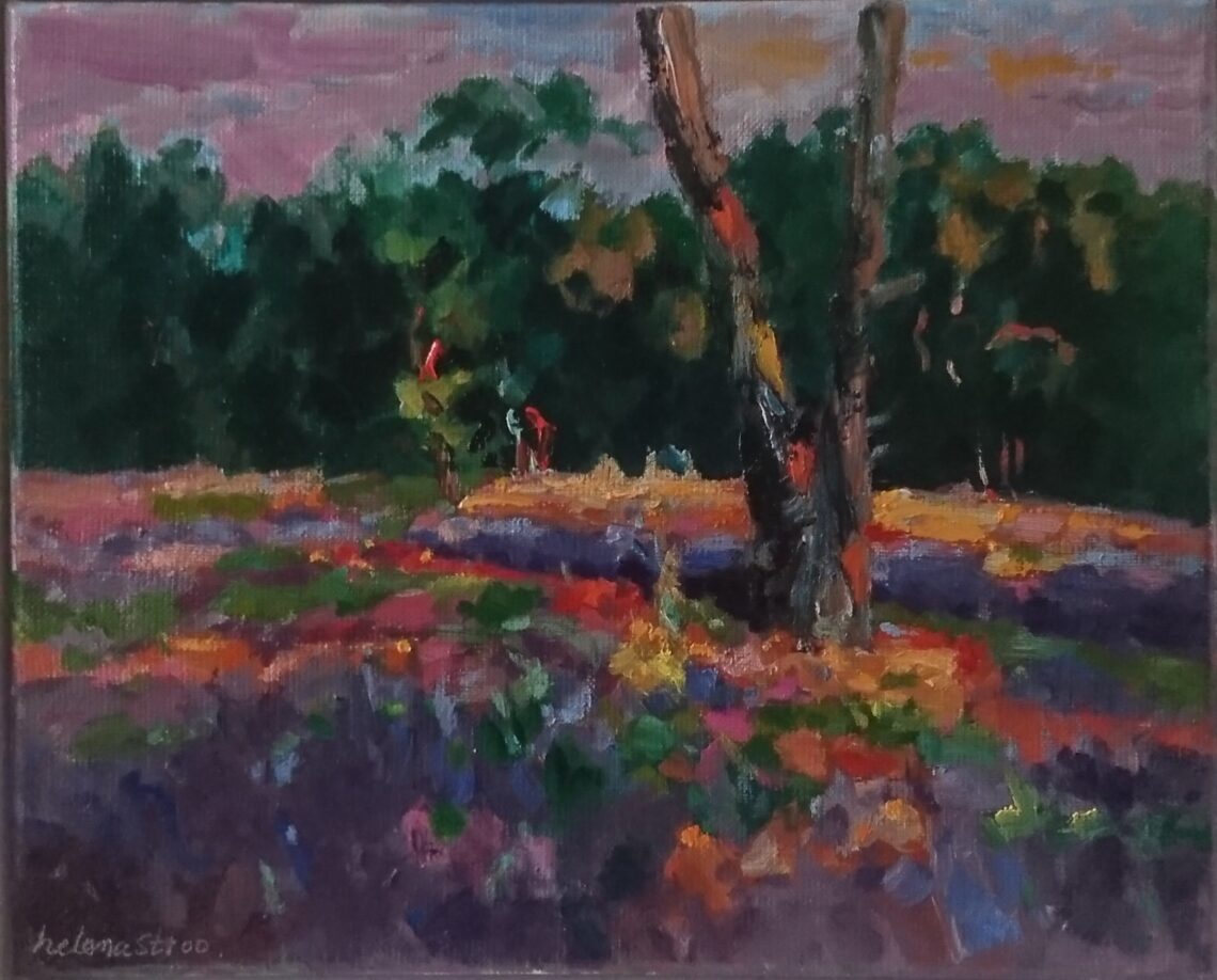 Strijbeekse heide zonsondergang