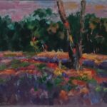 Strijbeekse heide zonsondergang