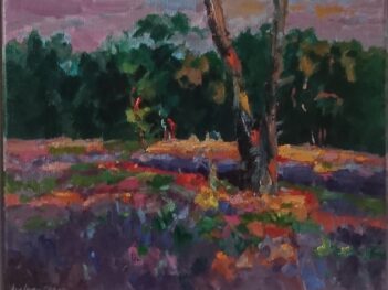 Strijbeekse heide zonsondergang