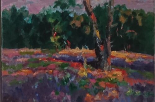 Strijbeekse heide zonsondergang