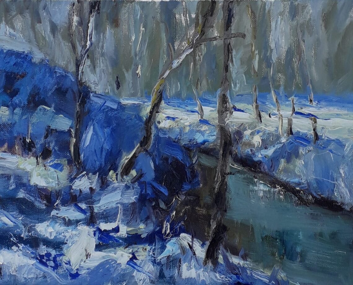 Sneeuw park Toorenvliedt