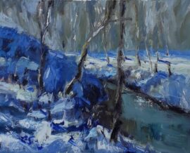 Sneeuw park Toorenvliedt