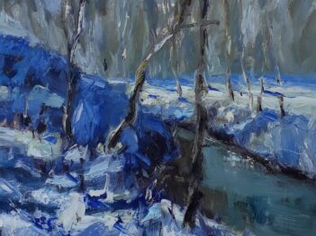 Sneeuw park Toorenvliedt