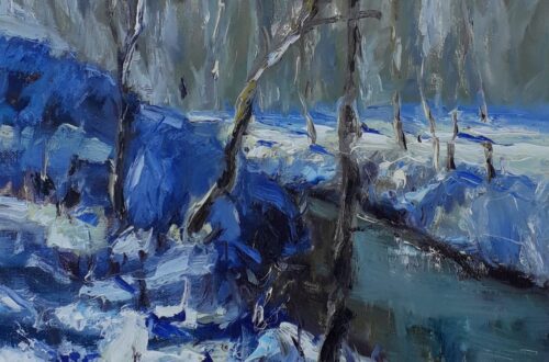 Sneeuw park Toorenvliedt