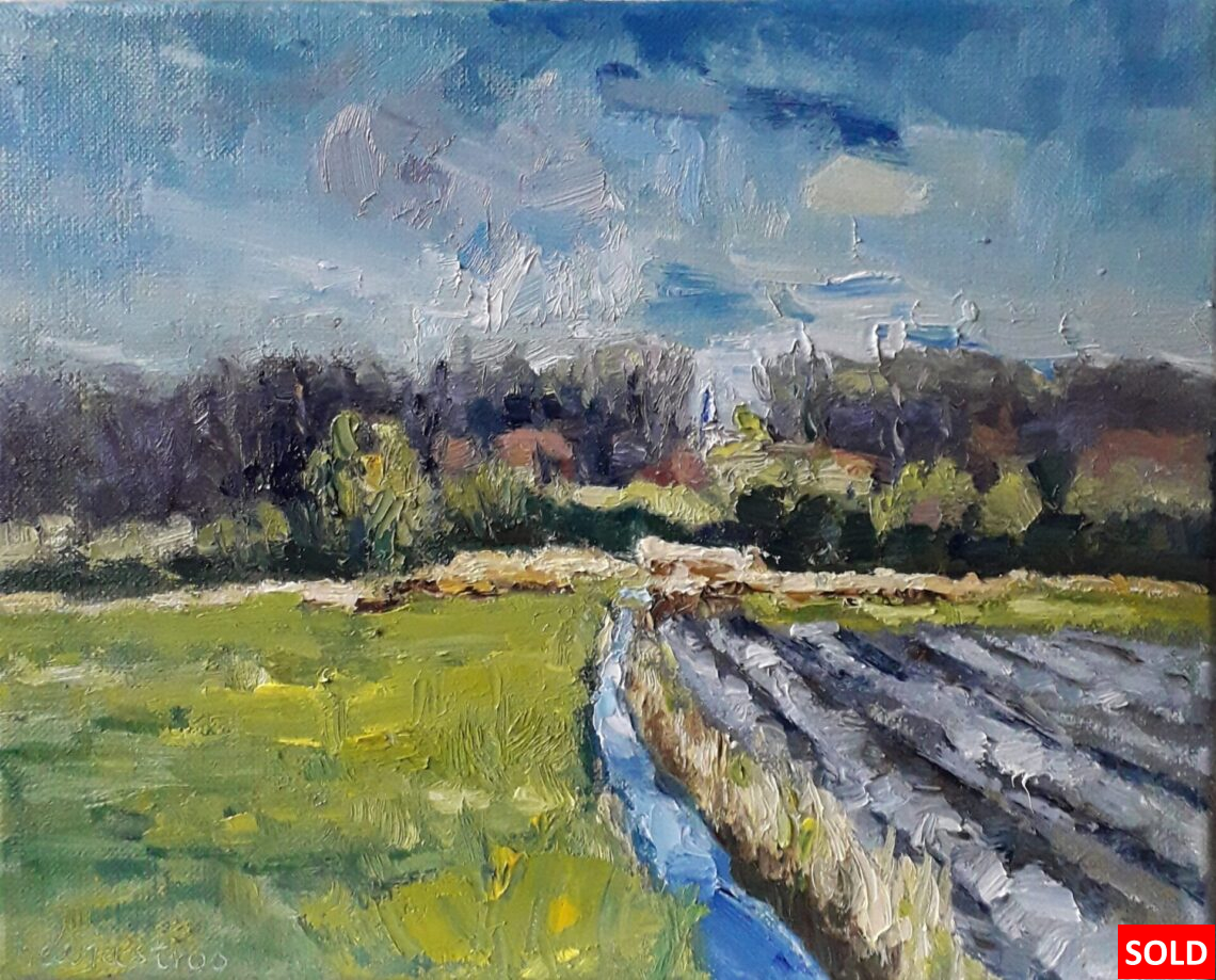 Walcheren zicht op Ter Hooge