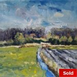 Walcheren zicht op Ter Hooge