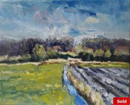 Walcheren zicht op Ter Hooge