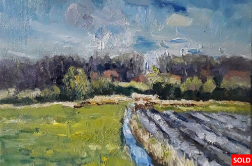 Walcheren zicht op Ter Hooge