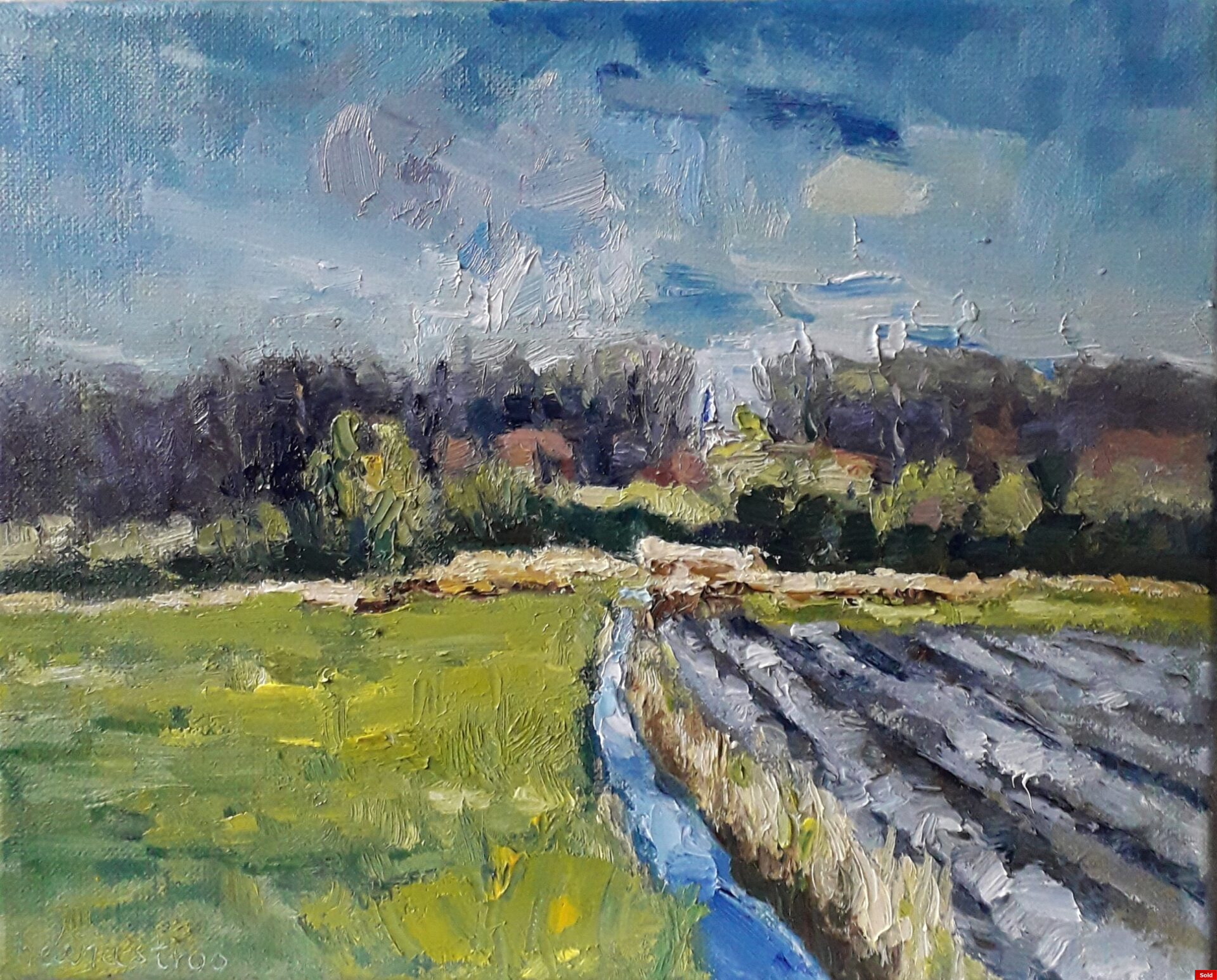 Walcheren zicht op Ter Hooge