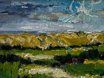 Duinen Westkapelle Domburg