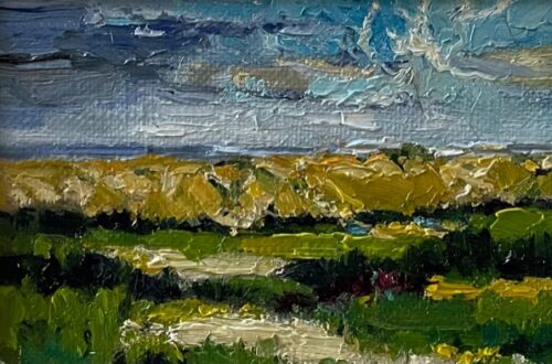 Duinen Westkapelle Domburg