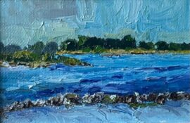 Geersdijk Veerse Meer