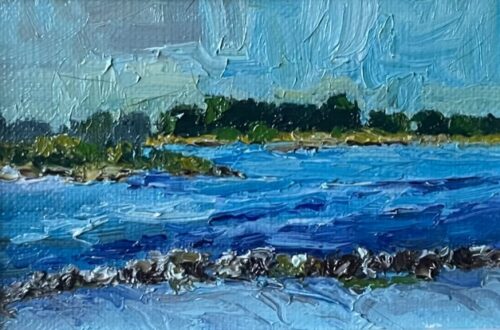 Geersdijk Veerse Meer