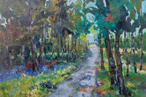 Goudplaat Veerse Meer