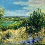 Zoutelande duinen vroege morgen