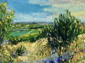 Zoutelande duinen vroege morgen