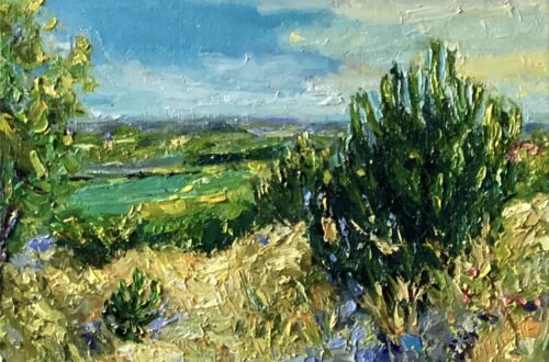 Zoutelande duinen vroege morgen