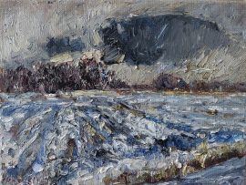 Sneeuwbui Middelburg