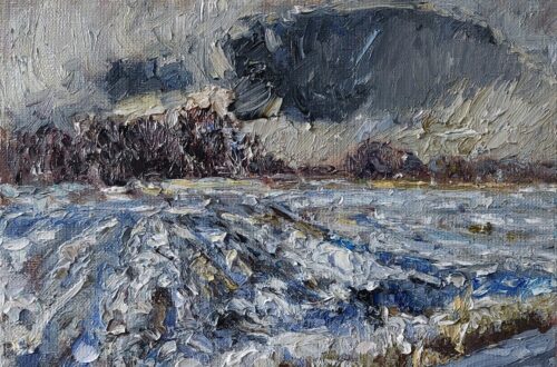 Sneeuwbui Middelburg