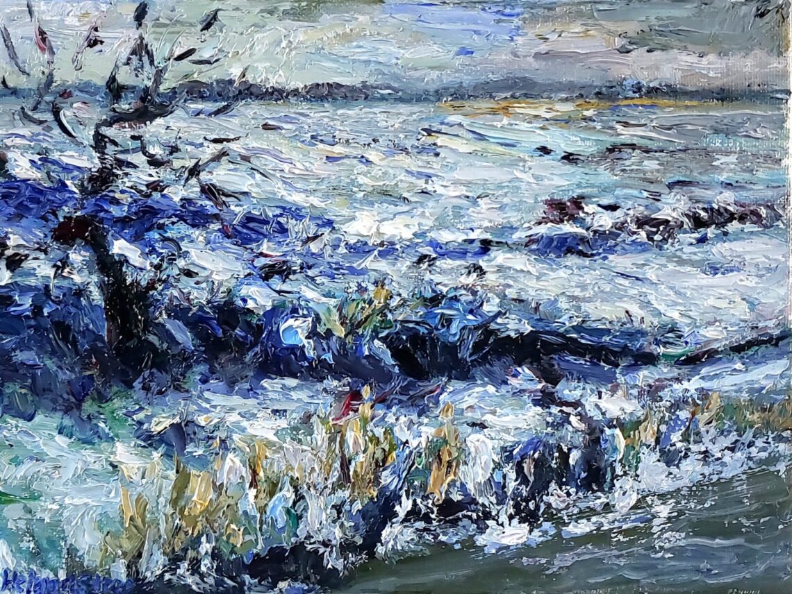 Sneeuw landschap Walcheren