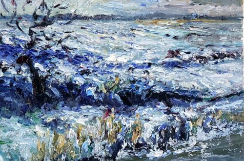 Sneeuw landschap Walcheren