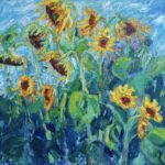 Zonnebloemen Aardenburg-Sluis