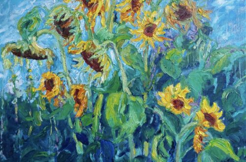 Zonnebloemen Aardenburg-Sluis