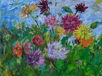 Dahlia’s in de tuin