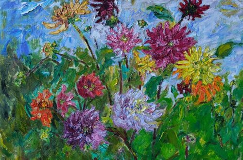 Dahlia’s in de tuin