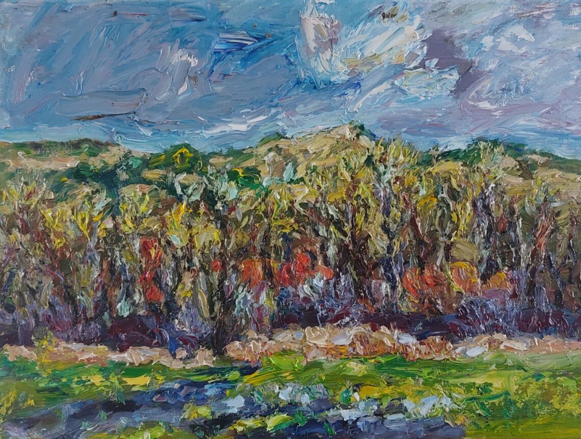 Klein Valkenisse Zuidweg