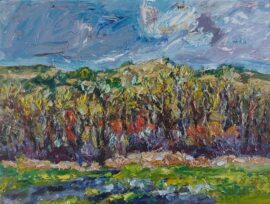 Klein Valkenisse Zuidweg