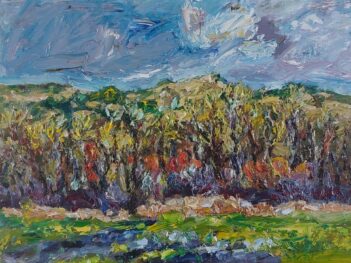 Klein Valkenisse Zuidweg