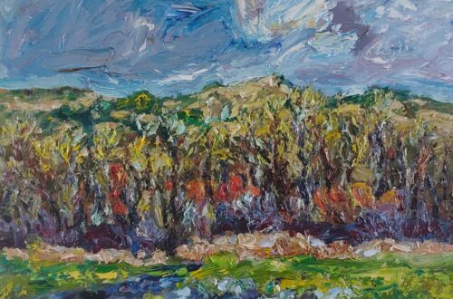 Klein Valkenisse Zuidweg