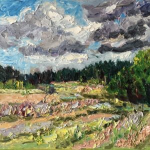 Rijsbergen-Zundert bossen
Olieverf op linnen - 30x40 cm