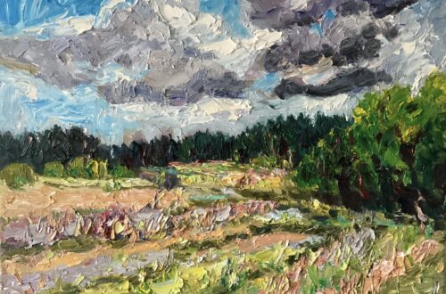 Rijsbergen-Zundert bossen