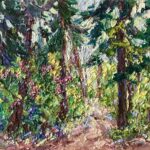 Zundert-Rijsbergen bospad