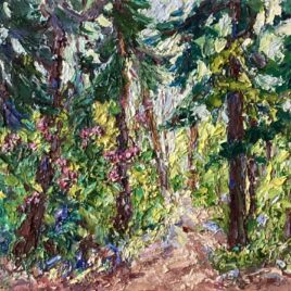 Zundert-Rijsbergen bospad