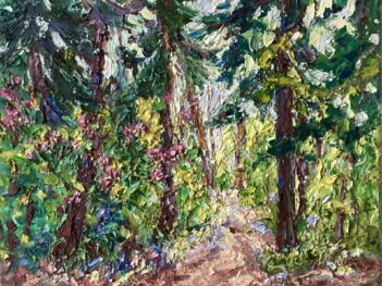 Zundert-Rijsbergen bospad