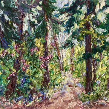 Zundert-Rijsbergen bospad