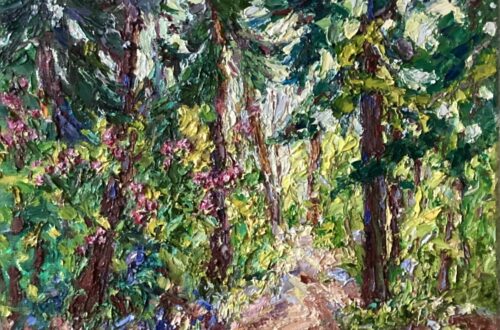 Zundert-Rijsbergen bospad