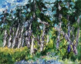 Rijsbergen-Zundert dennen