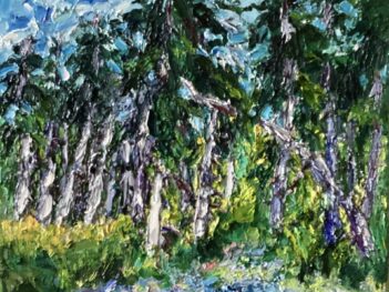 Rijsbergen-Zundert dennen