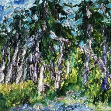 Rijsbergen-Zundert dennen