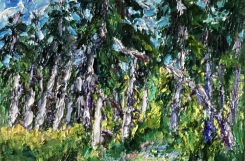 Rijsbergen-Zundert dennen