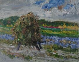 Hooibergjes bij Zoutelande