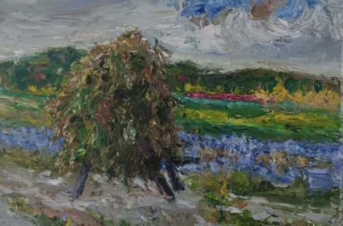 Hooibergjes bij Zoutelande