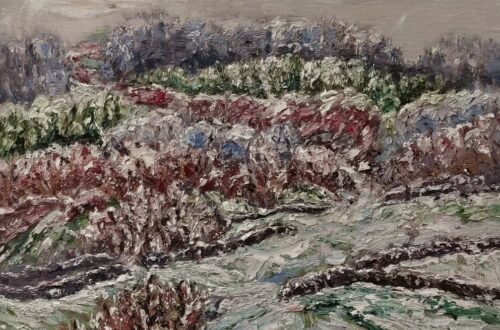 La Vallée Noire sneeuw Saint-Sévère-sur-Indre